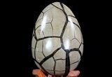Septarian Dragon Egg Geode - Black Crystals #71999-3